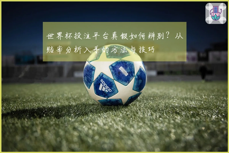 世界杯投注平台真假如何辨别？从赔率分析入手的方法与技巧