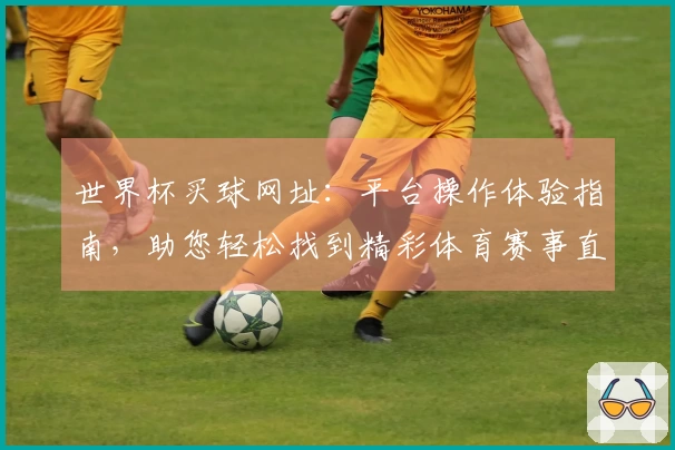 世界杯买球网址：平台操作体验指南，助您轻松找到精彩体育赛事直播入口