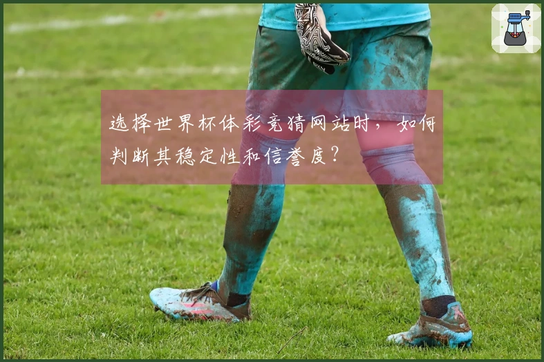 选择世界杯体彩竞猜网站时，如何判断其稳定性和信誉度？