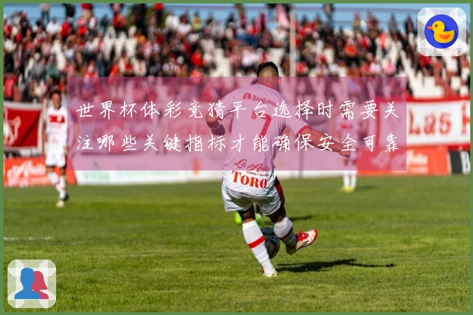 世界杯体彩竞猜平台选择时需要关注哪些关键指标才能确保安全可靠-