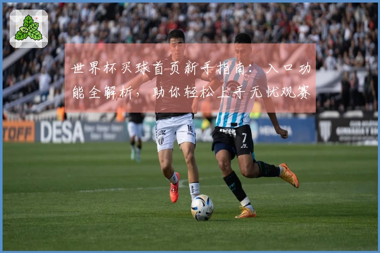 世界杯买球首页新手指南:入口功能全解析,助你轻松上手无忧观赛