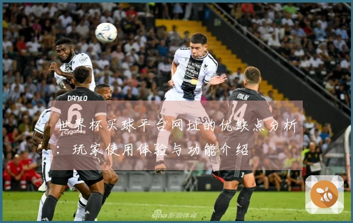 世界杯买球平台网址的优缺点分析:玩家使用体验与功能介绍