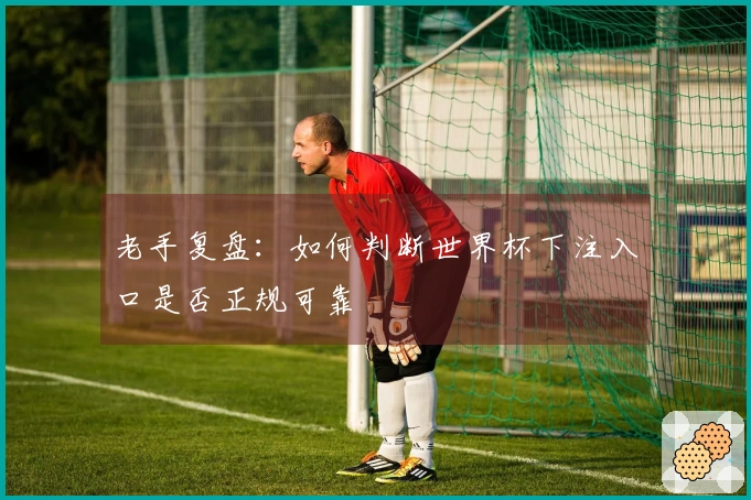 老手复盘：如何判断世界杯下注入口是否正规可靠
