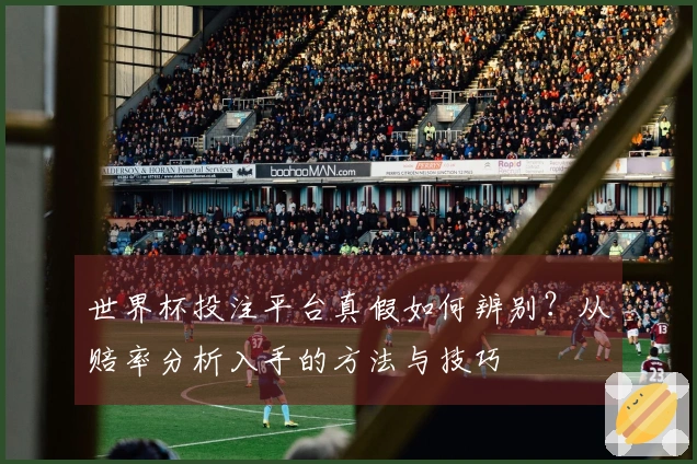 世界杯投注平台真假如何辨别?从赔率分析入手的方法与技巧