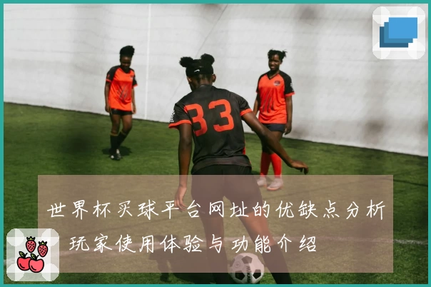 世界杯买球平台网址的优缺点分析：玩家使用体验与功能介绍