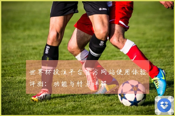 世界杯投注平台官方网站使用体验评测:功能与特点详解