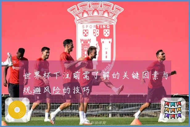 世界杯下注前需了解的关键因素与规避风险的技巧