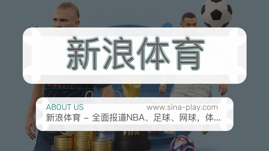 关于 新浪体育